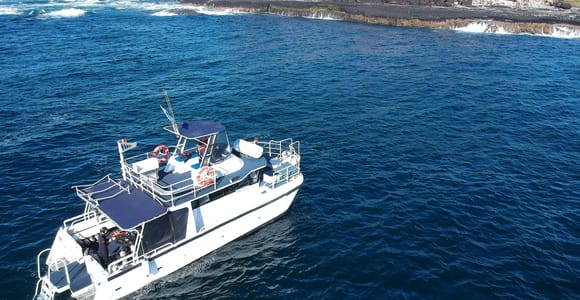 Snorkelling with Turtles at Cook Island Marine Rserve