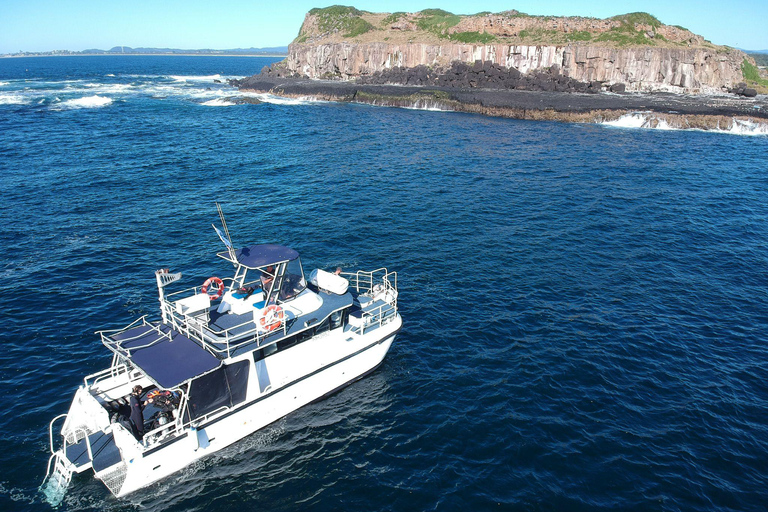 Snorkling med sköldpaddor på Cook Island Marine Rserve