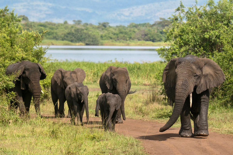 2 Days Akagera National Park Safari with Hot Air Balloon