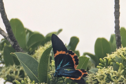 Kampot: Bokor Mountain Tour with locals Bokor Mountain Tour with an Experienced Guide