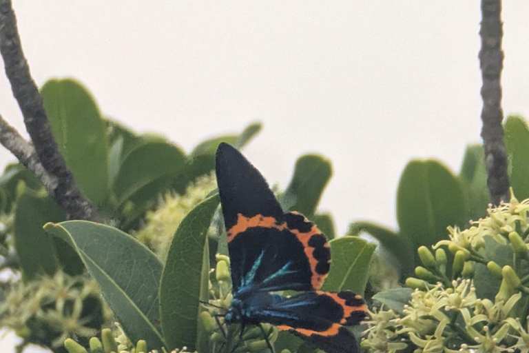 Kampot: Bokor Mountain Tour with locals Bokor Mountain Tour with an Experienced Guide