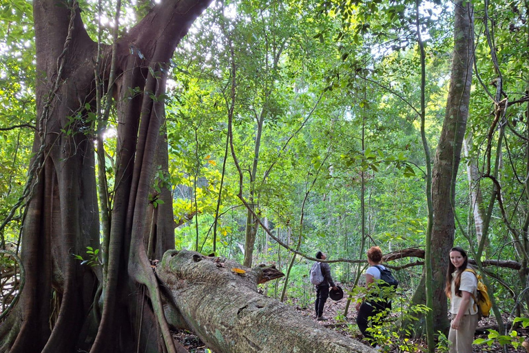Bacalar: Calakmul Ruins Day Trip with a Stop In The Jungle