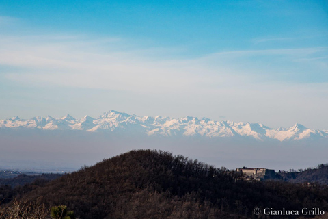 45 min from Milano/Genova: Truffle Hunting + Trattoria Lunch