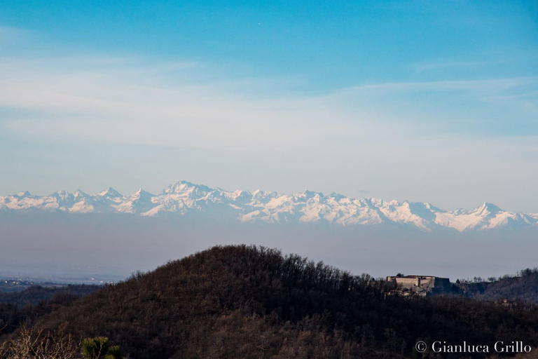 45 min from Milano/Genova: Truffle Hunting + Trattoria Lunch