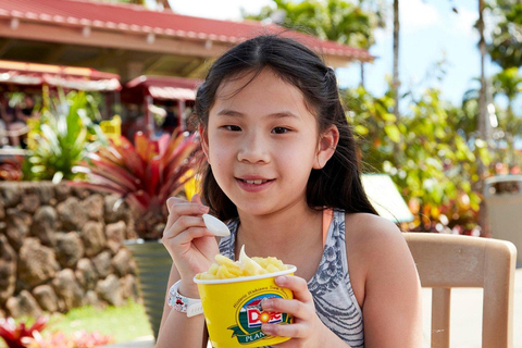 Oahu: Haleiwa &amp; Dole Plantation Deluxe Tour