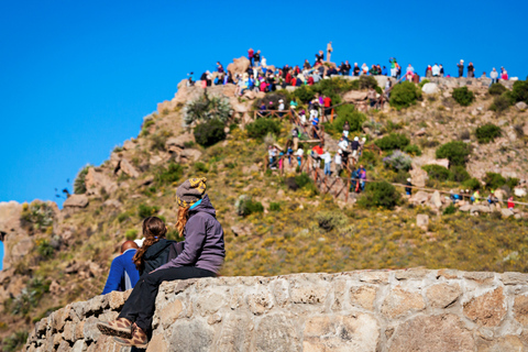 From Arequipa: Colca Canyon and Andean Wildlife Day Trip