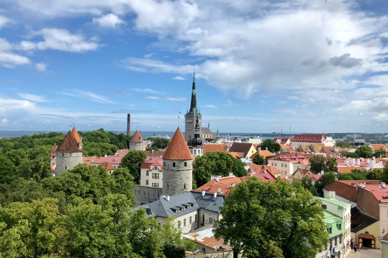 Riga - Tallin : Transfert et visite guidée à travers de magnifiques sites