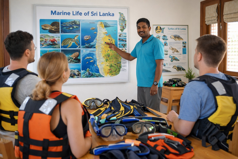 Mirissa: Snorkelling Turtle & Marine Life Briefing Session Snorkelling Turtle (Without Pickup)
