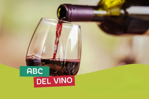 Grand Tour Italia, Bolonia - El ABC del Vino