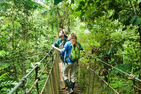 Iquitos: 5-Day Amazon Camp, Zipline & Jungle Tour