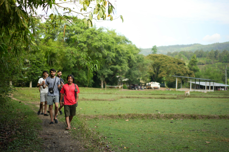 Chiang Mai: Jungle Jumbo Elephant Sanctuary with Waterfall