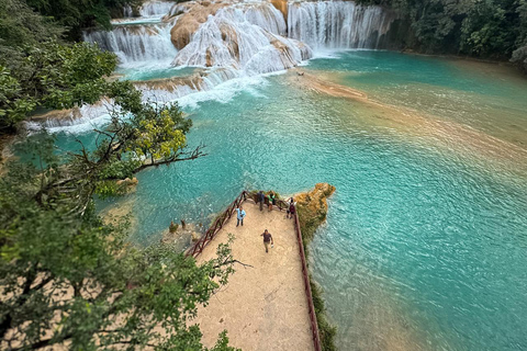 Palenque: Guided Tour of the Archaeological Zone and Waterfalls with Lunch