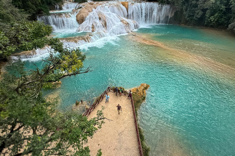 Palenque: Guided Tour of the Archaeological Zone and Waterfalls with Lunch