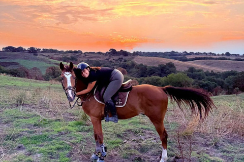 Rome: Lake Martignano Horseback Ride on a Private Estate Lake Martignano: Horseback Ride on a Private Estate