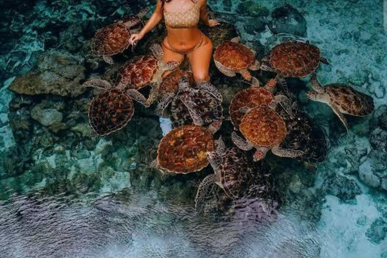 Mnemba Island , Snorkeling & Salaam cave with Expert guide Mnemba Island trip, Snorkeling with Expert local guide