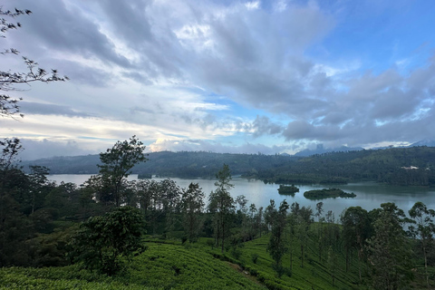 Trincomalee: 3-Day Tuk-Tuk Tour to Kandy with Tickets