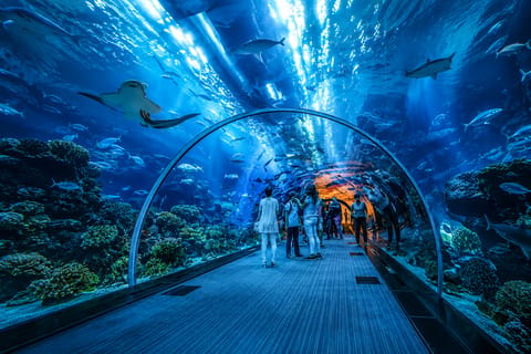 KL: City Highlights Tour with Aquaria Complimentary Ticket