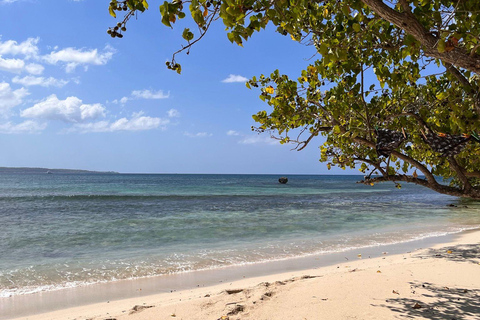 Negril 7 Miles Beach & Booby Cay Boat Tour from Negril