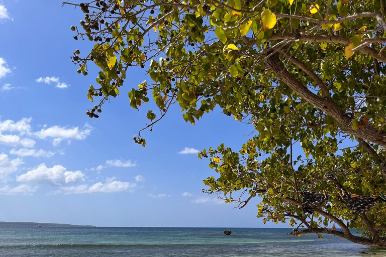 Negril 7 Miles Beach & Booby Cay Boat Tour from Negril