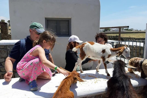 Aventure familiale en jeep à Mykonos : Ferme, vignoble et plage