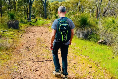 Follow the wildflower trail from Perth to New Norcia