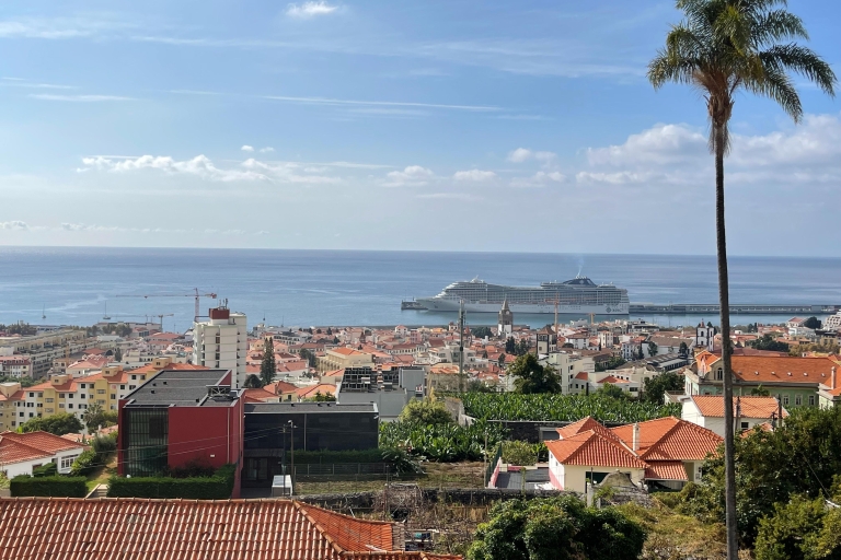 Funchal: Tuk-Tuk-Tour am Meer