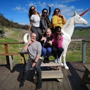 Private Tour: Yarra Valley Wine, Cheese, Gin & Chocolatrie