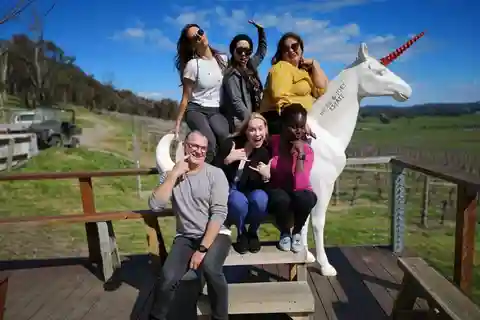 Excursão particular: Vinho, queijo, gim e chocolate de Yarra Valley