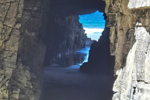 Hobart: 3-Day Bruny Island, Hobart, & Port Arthur Tour Hobart 3 Days：(TMAG/Remarkable Cave)