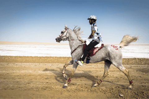 Doha: Souq Waqif Tour with Sealine Horse Riding Experience