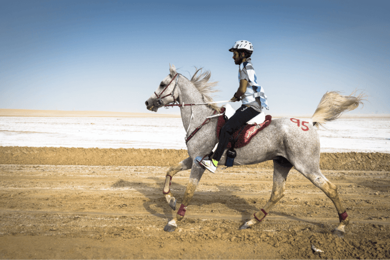 Doha: Souq Waqif Tour with Sealine Horse Riding Experience