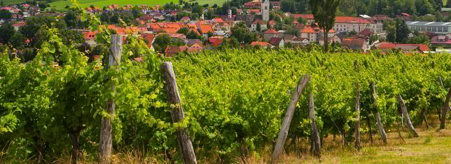 Circuit à Maribor et en Styrie avec dégustation de vins