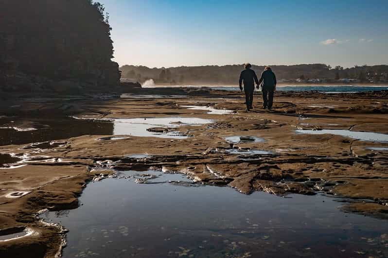 Horse Riding, Koalas & Kangaroos - Wild Australia | GetYourGuide