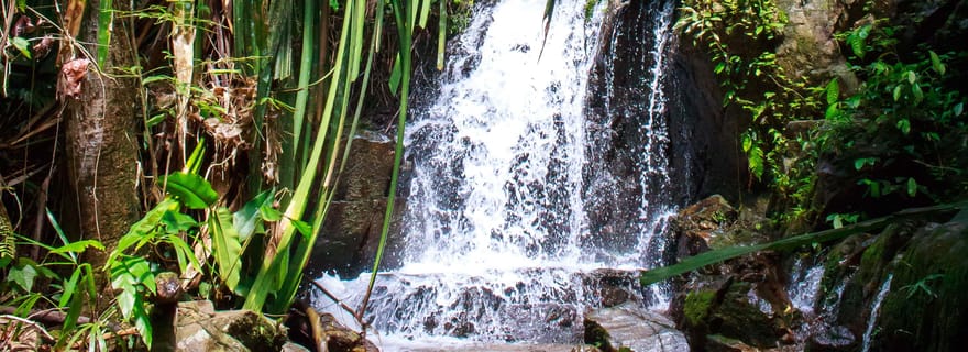Une aventure en kayak et trek de la jungle à la mer à Phuket