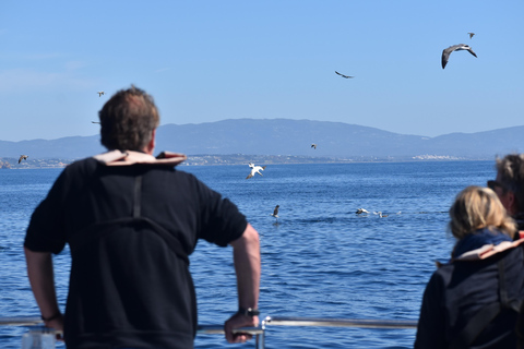 New: Into the Wild - 3H w/Marine Biologists - dolphins &more