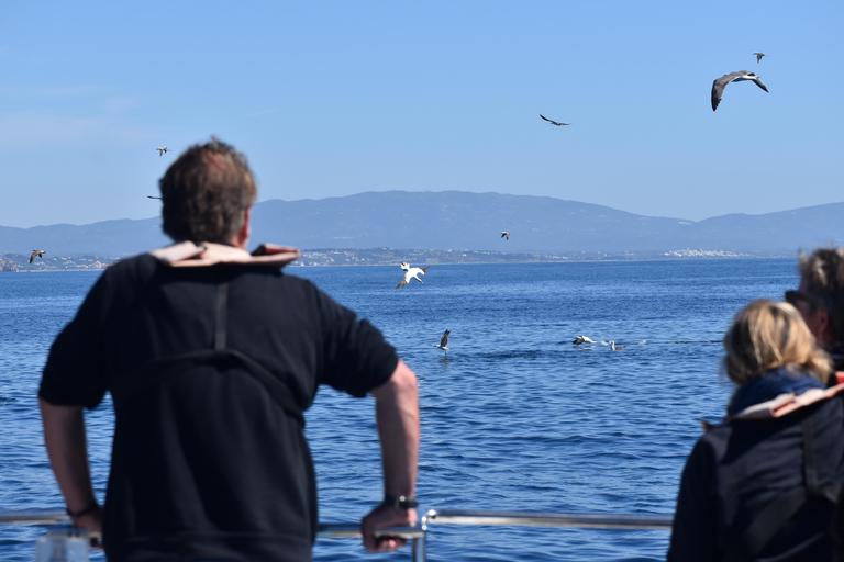 New: Into the Wild - 3H w/Marine Biologists - dolphins &more