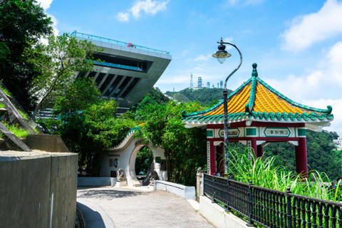 Hong Kong Private Tour by Luxury 7‑Seater with Top Guide Private Hong Kong Tour (Hotel pick up and drop off)