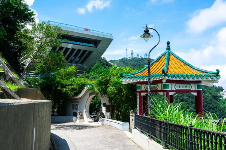 Hong Kong Private Tour by Luxury 7‑Seater with Top Guide Private Hong Kong Tour (Hotel pick up and drop off)