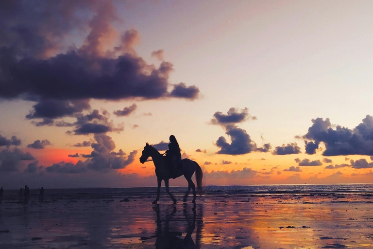 Djerba – Paardrijden naar het eiland van de flamingo&#039;sDjerba - Paardrijden naar het Roze Flamingo-eiland