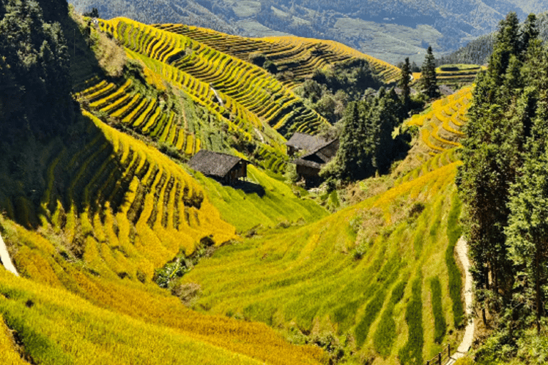 Guilin: Longji Rice Terraces Tour & Ethnic Culture