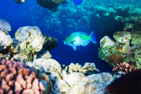 Strandspaziergang am Nordufer