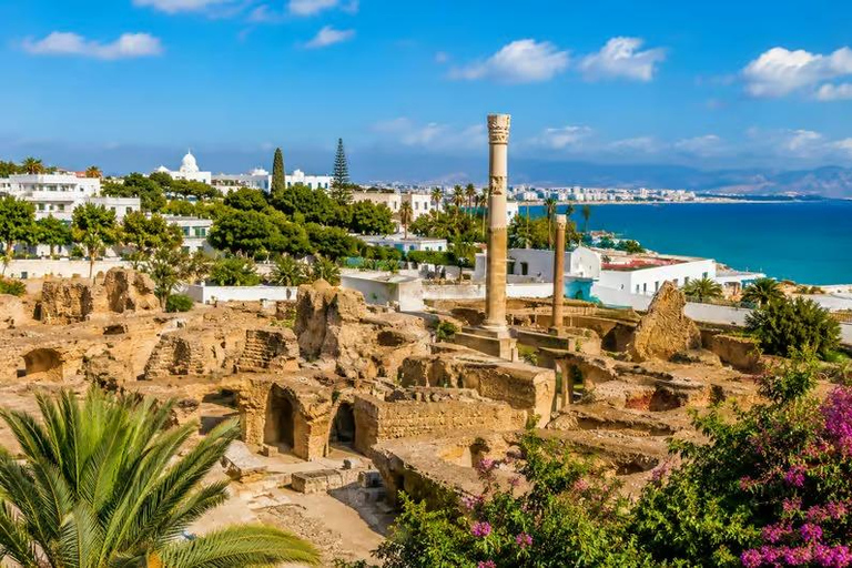 Tunis: Medina, Carthage, and Sidi Bou Said Guided Day Tour