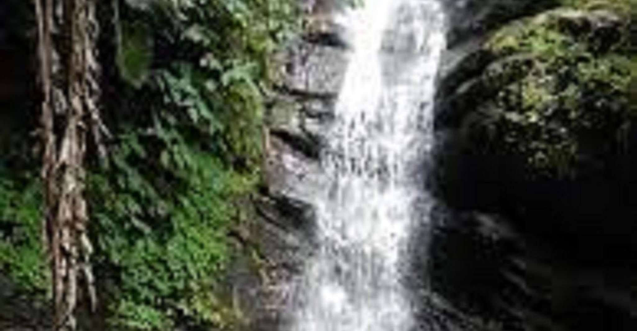 Zorro Falls Tour - Housity