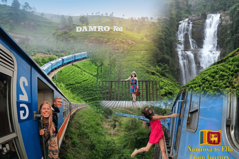 Kandy To Nanuoya Drop Tour & Morning Ella Train Journey Kandy To Nanuoya Drop Tour & Morning Ella Train Journey Car*