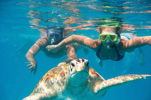 Bali: Snorkling Blå lagunen &amp; Tanjung Jepun snorkling med transfer