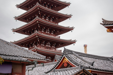 Circuito de 7 días Tokio Kamakura Hakone Nikko Yokohama Fuji Kioto