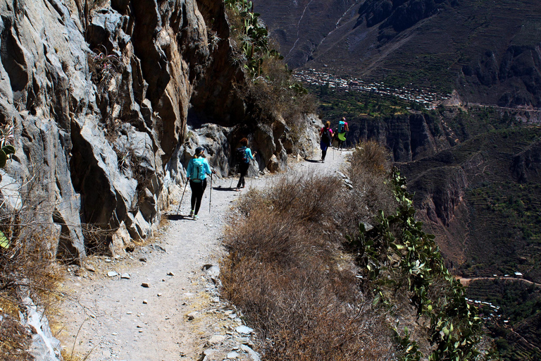 2-dagars vandring genom Colca Canyon