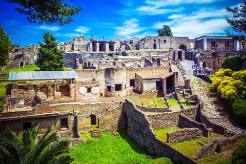 Da Roma: Escursione di un giorno a Pompei e Sorrento con pranzo