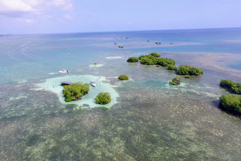 Guadeloupe: Guided Sea Excursion - Discover the Grand Cul-de-Sac Marin 4-hour guided tour - Discover the treasures of the Lagoon - islets, shipwreck, mangrove