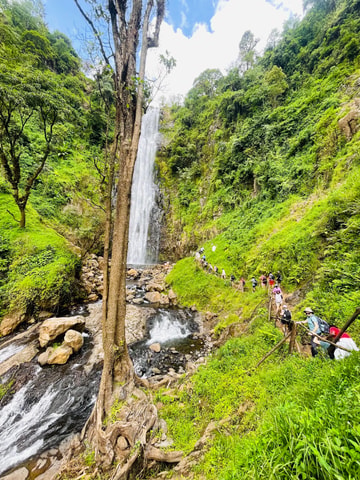 Arusha: Materuni Waterfalls, Coffee tour & local lunch